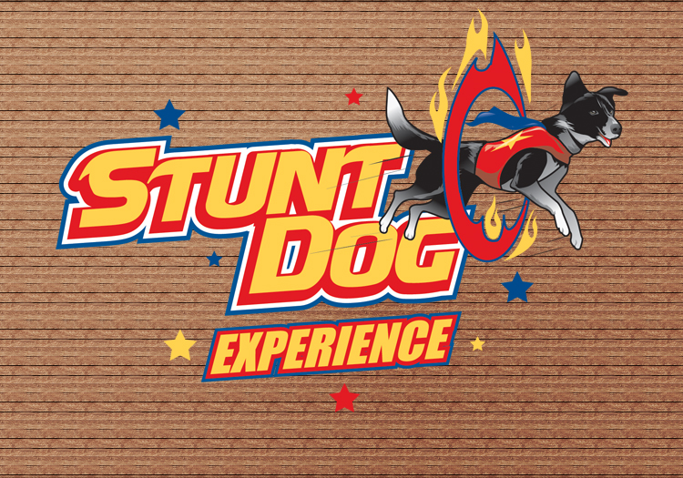 Stunt Dog Experience