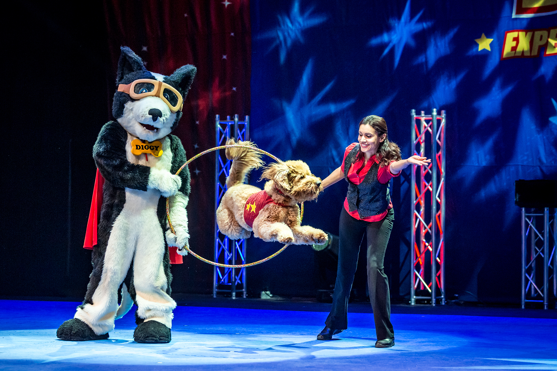 Stunt Dog Experience