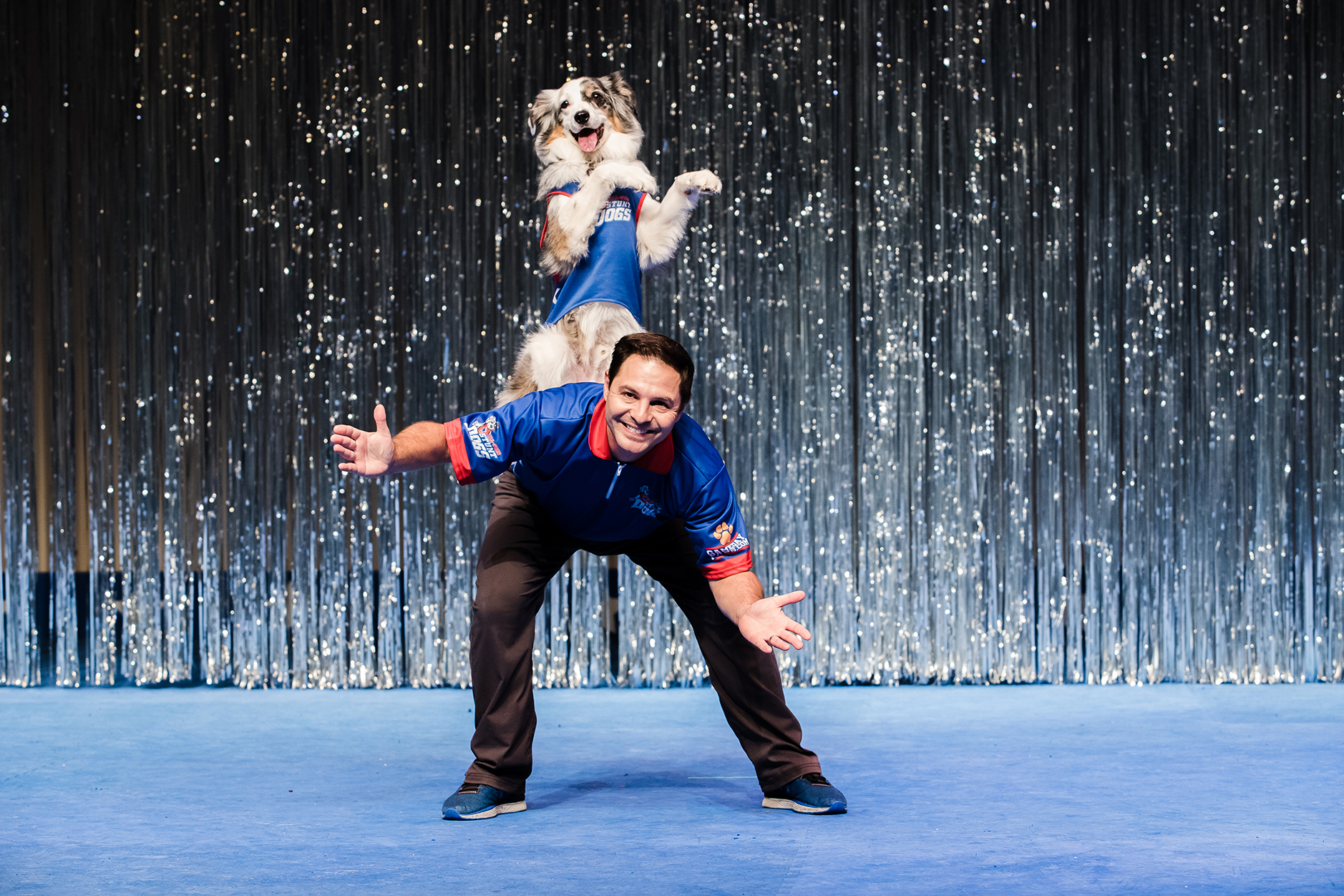 Stunt Dog Experience
